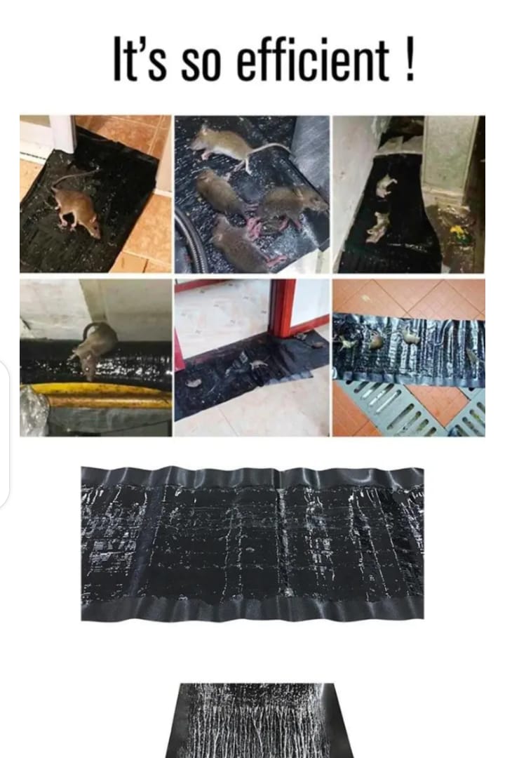 Effective Rat and Mouse Glue Mat Trap - 120x28cm Sticky Rodent Catcher Sheet for Pest Control | Mouse Trap Carpet