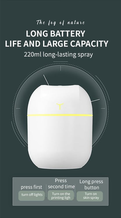 Portable Mini USB Humidifier
