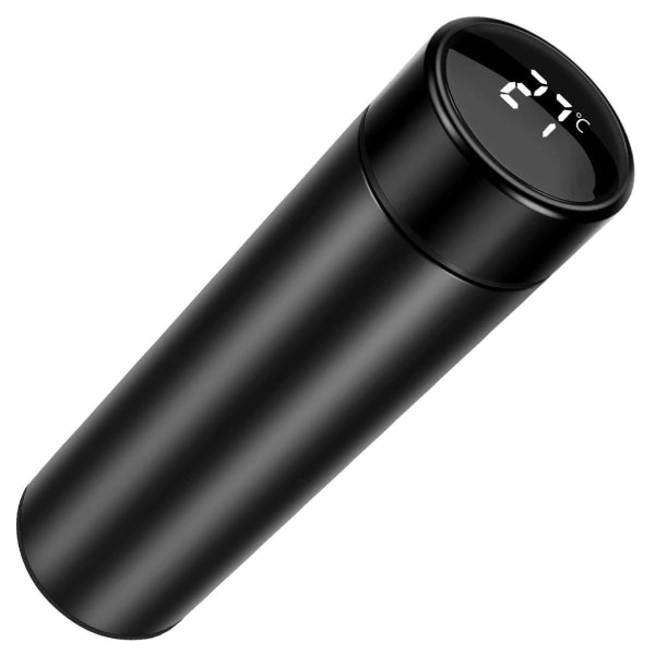 Temperature Display Water Bottle